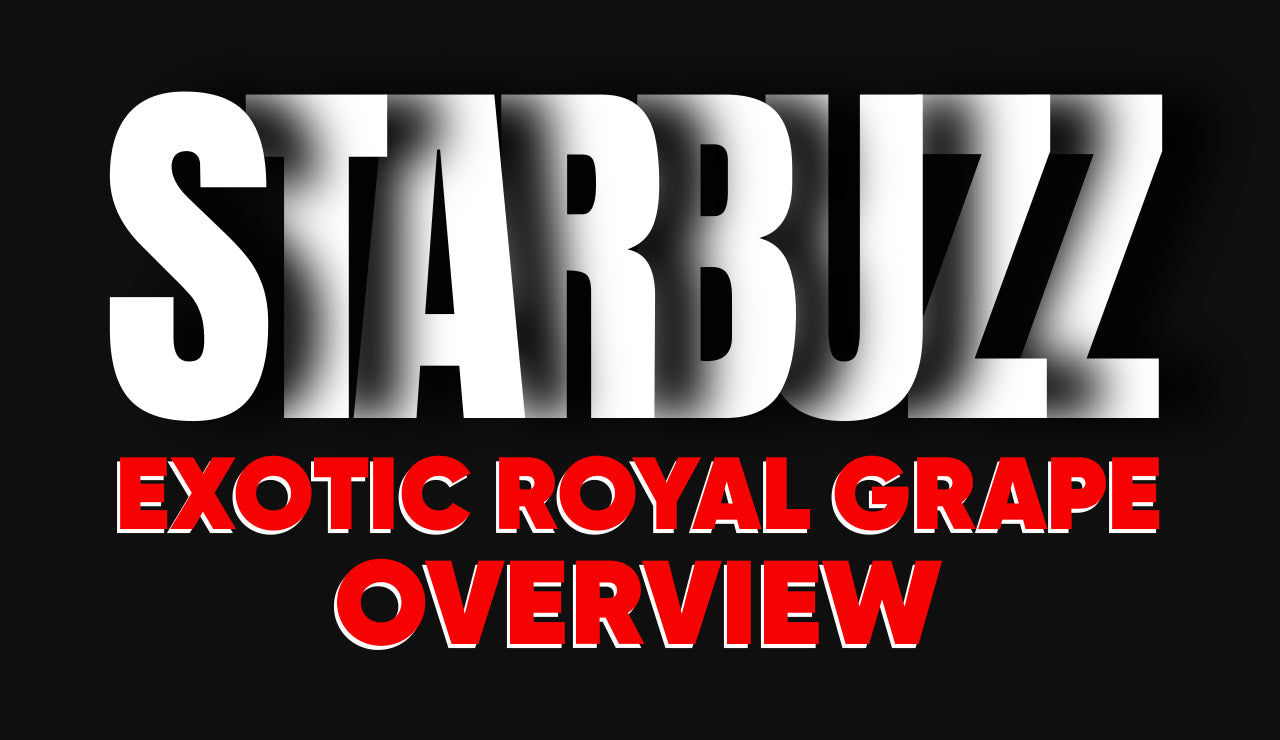 Starbuzz Exotic Royal Grape Overview
