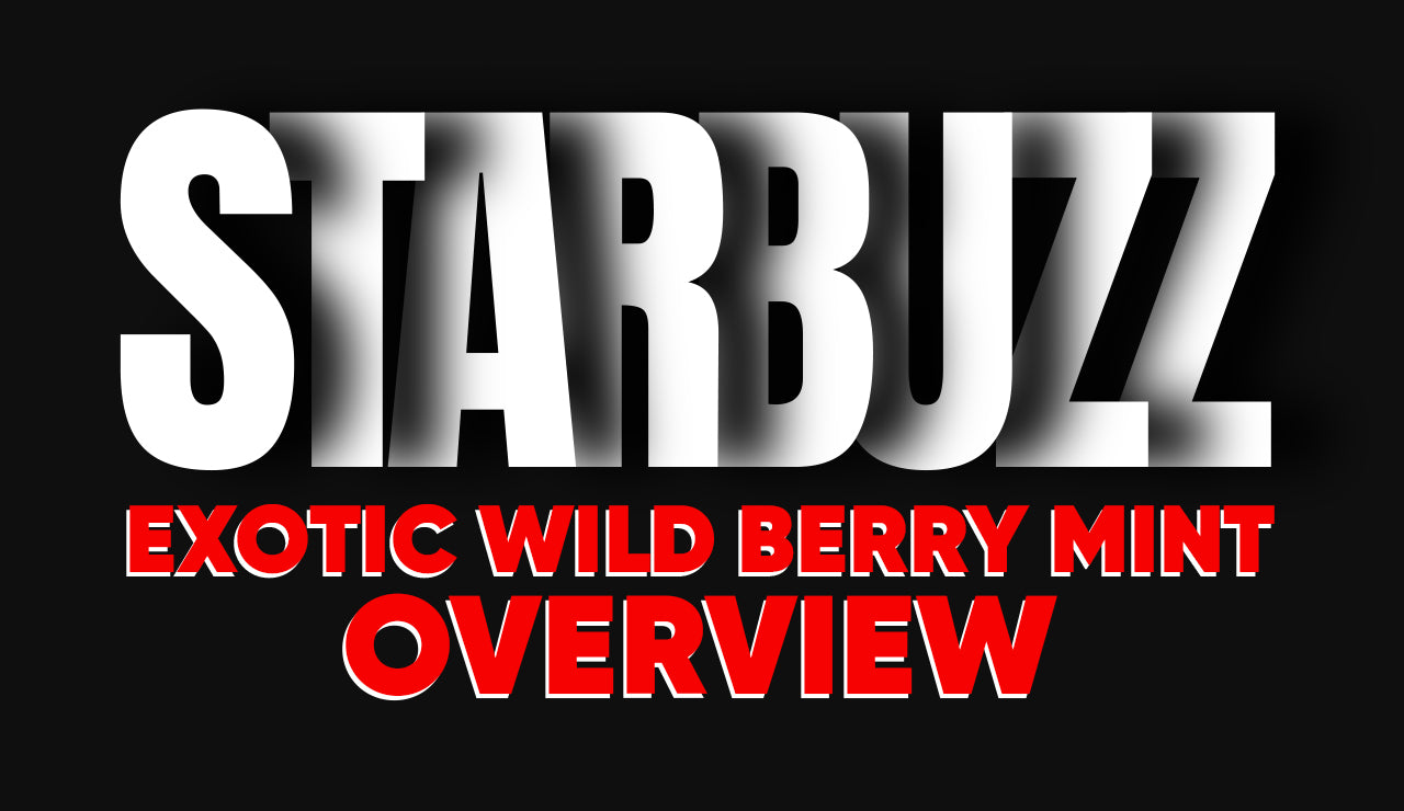 Starbuzz Exotic Wild Berry Mint Overview