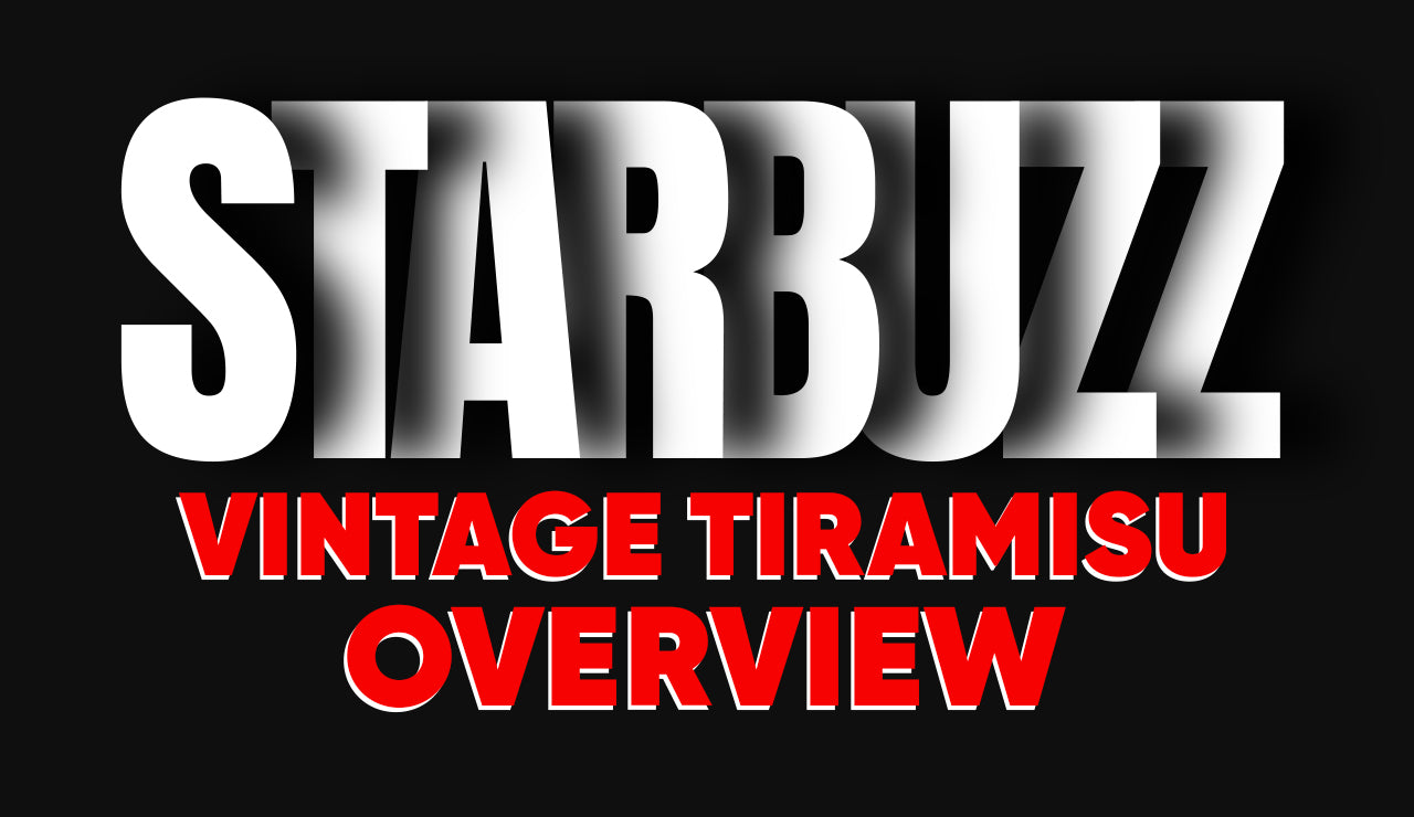 Starbuzz Vintage Tiramisu Overview