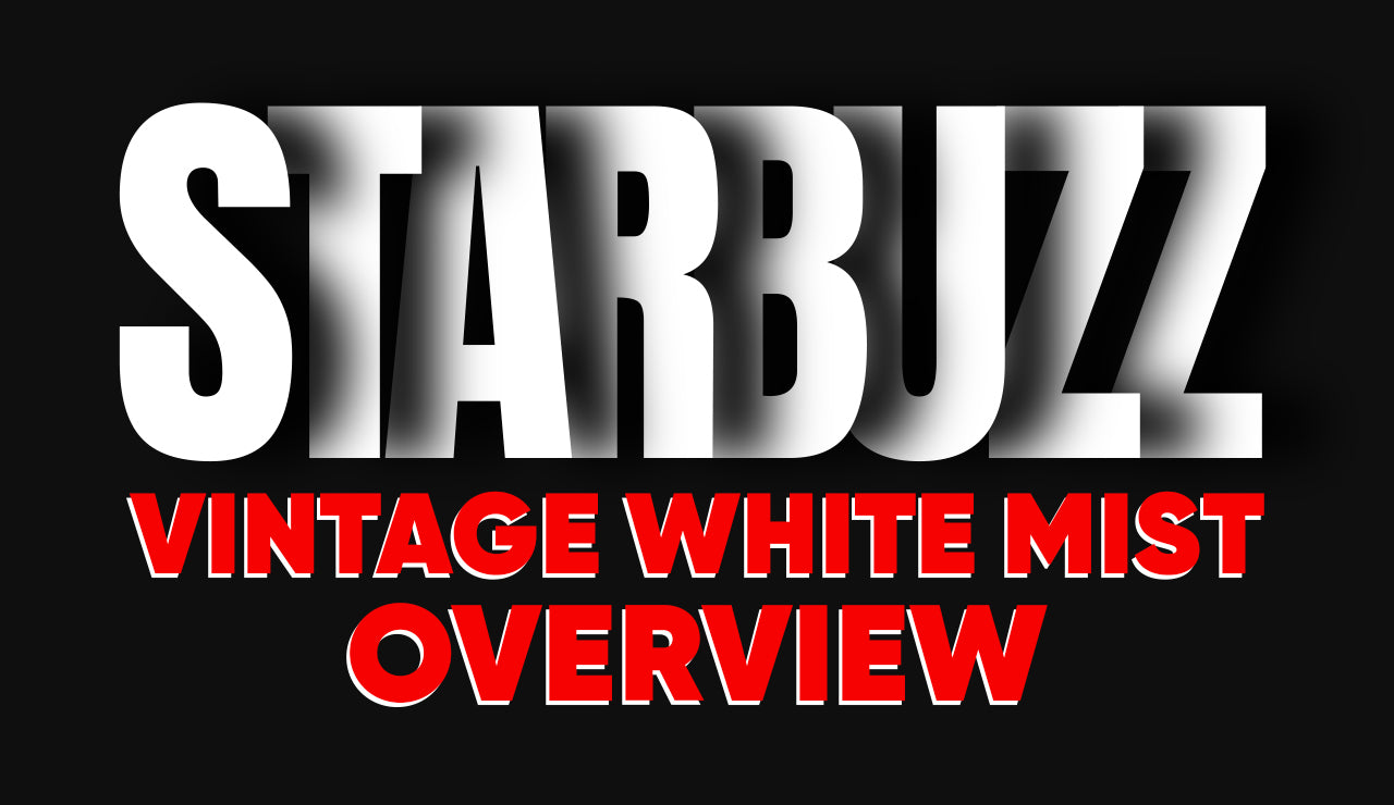 Starbuzz Vintage White Mist Overview
