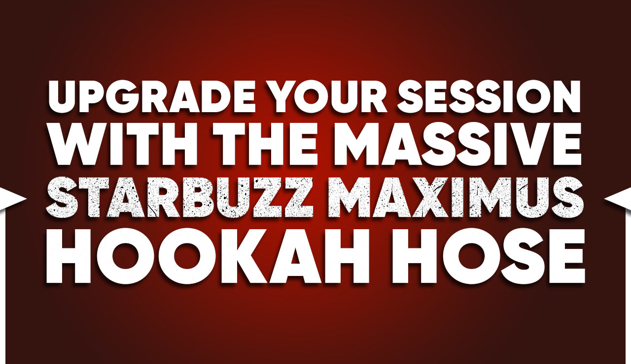 Upgrade Your Session with the Massive Starbuzz Maximus Hookah Hose