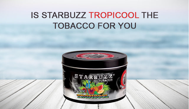 tropical tobacco TeaZa Flavored Healthy Dip Pouches Up In Smoke America Juicy Hemp Wrap - Tropical