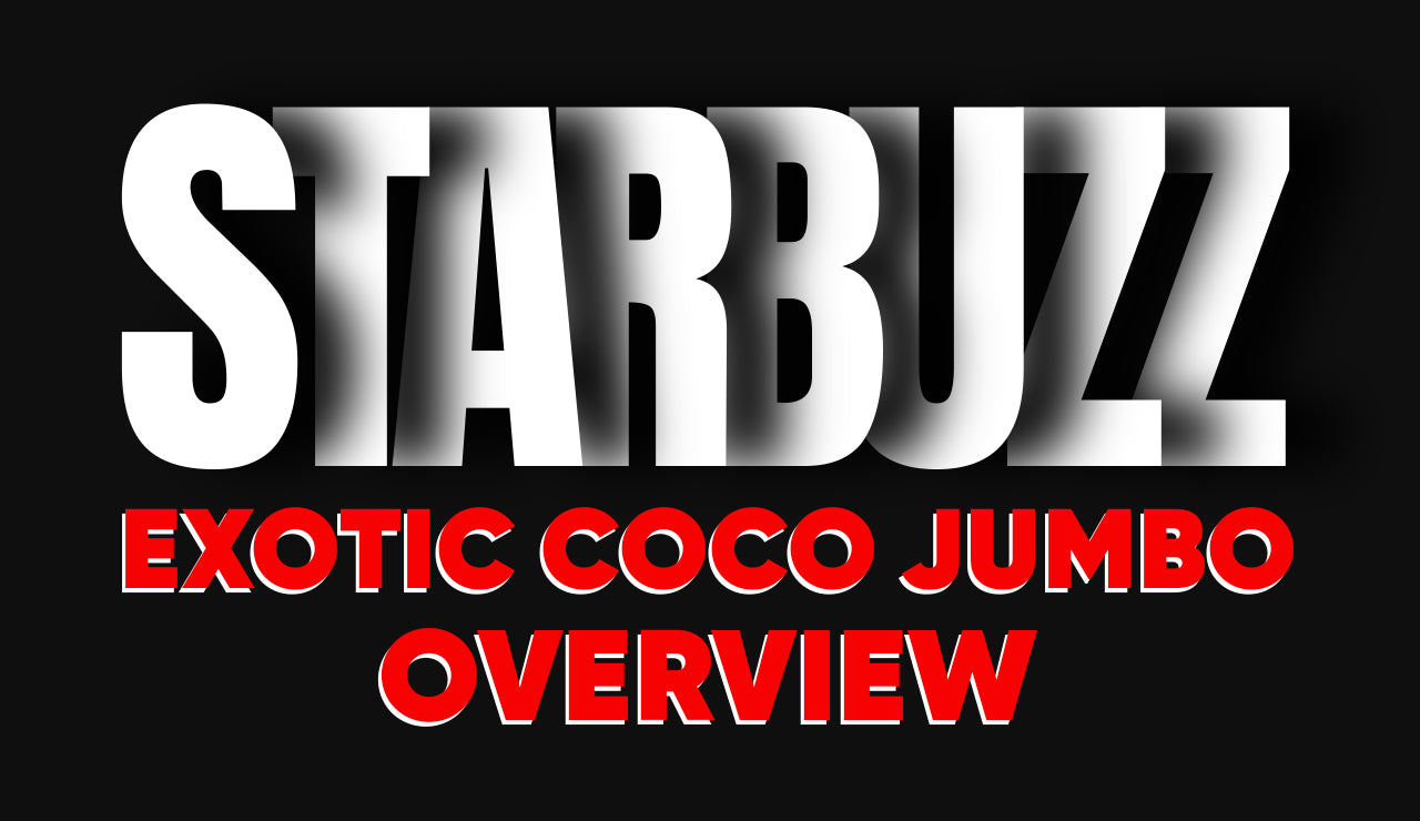 Starbuzz Coco Jumbo Hookah Tobacco Overview