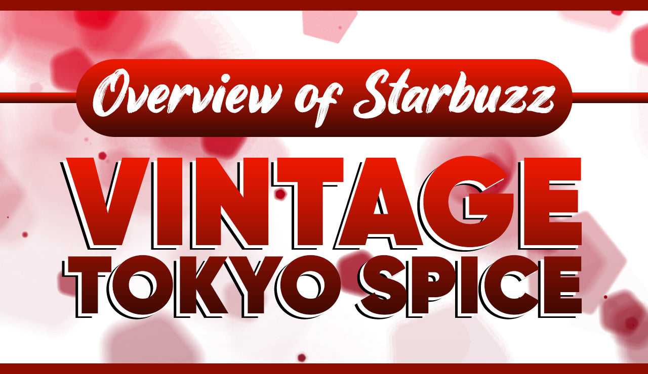 Overview of the Vintage Tokyo Spice Shisha Flavor from Starbuzz