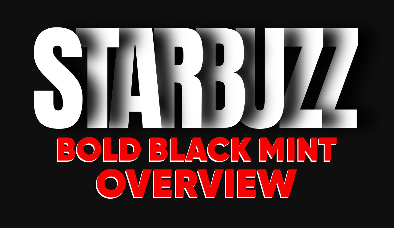 Starbuzz Bold Black Mint Hookah Tobacco Overview