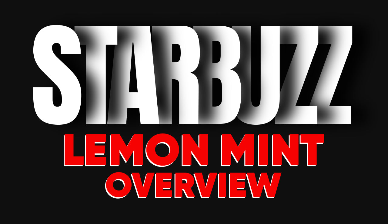 Starbuzz Lemon Mint Overview
