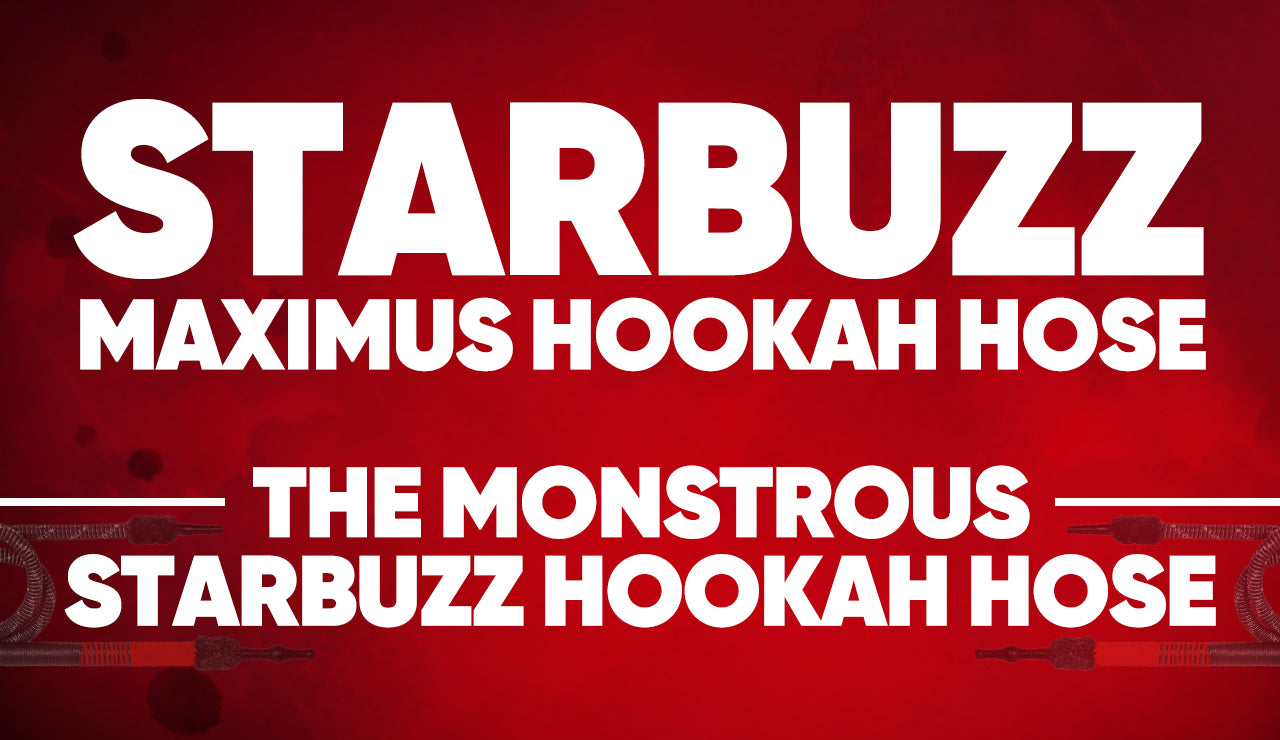 Starbuzz Maximus Hookah Hose: The Monstrous Starbuzz Hookah Hose