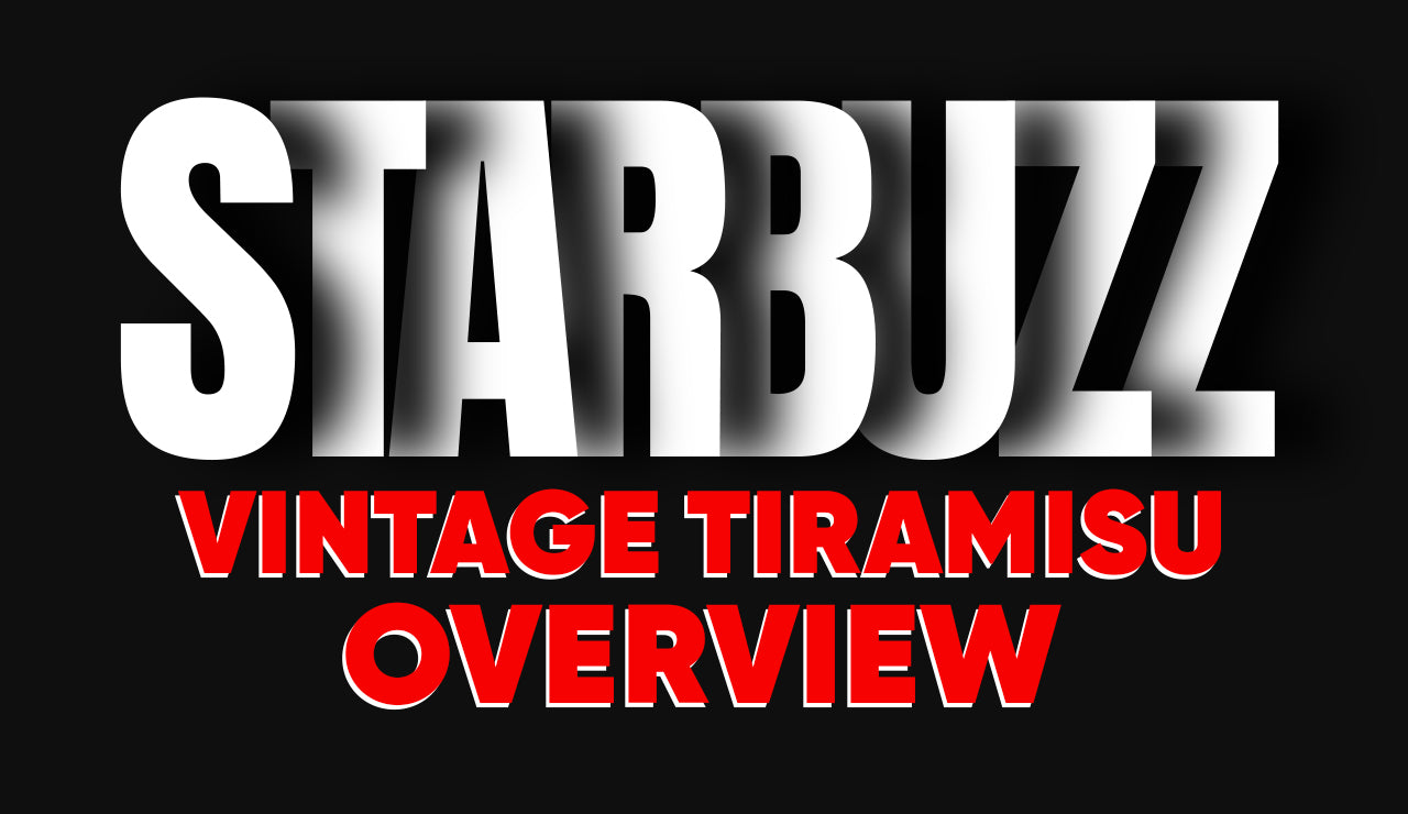 Starbuzz Vintage Tiramisu Overview