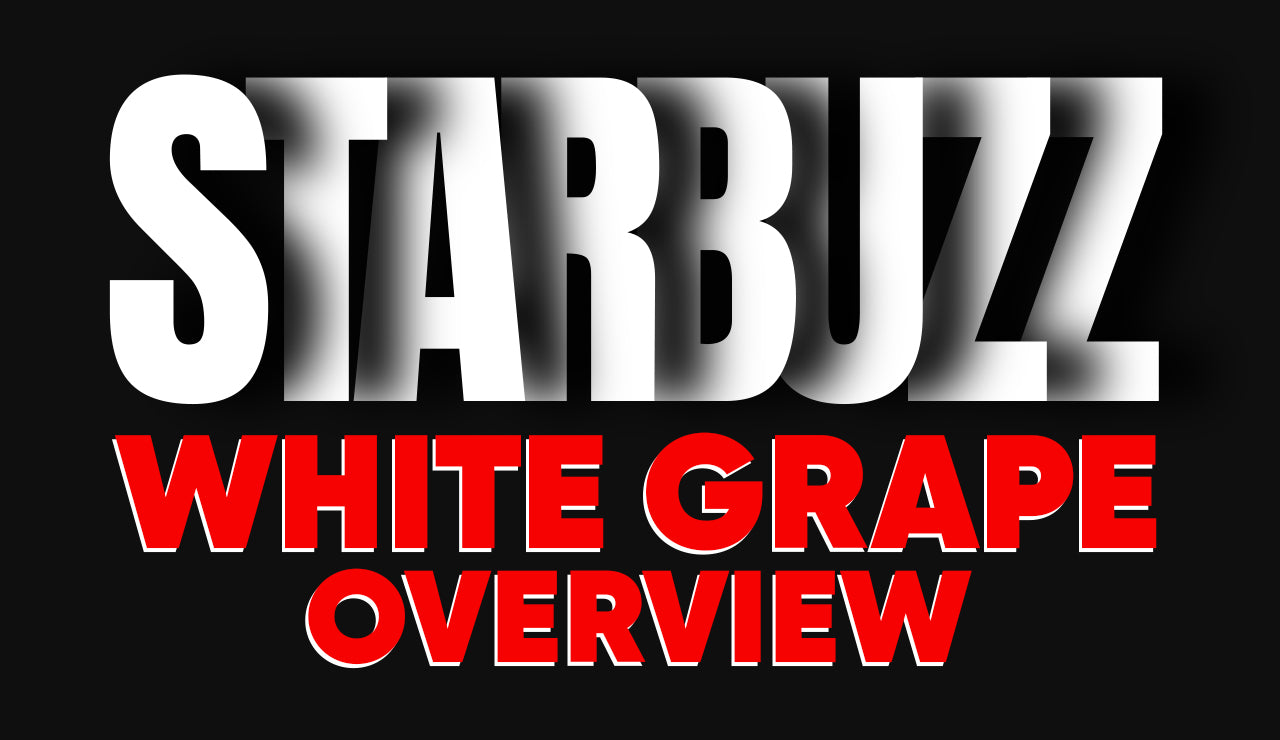 Starbuzz Exotic White Grape Hookah Tobacco Overview