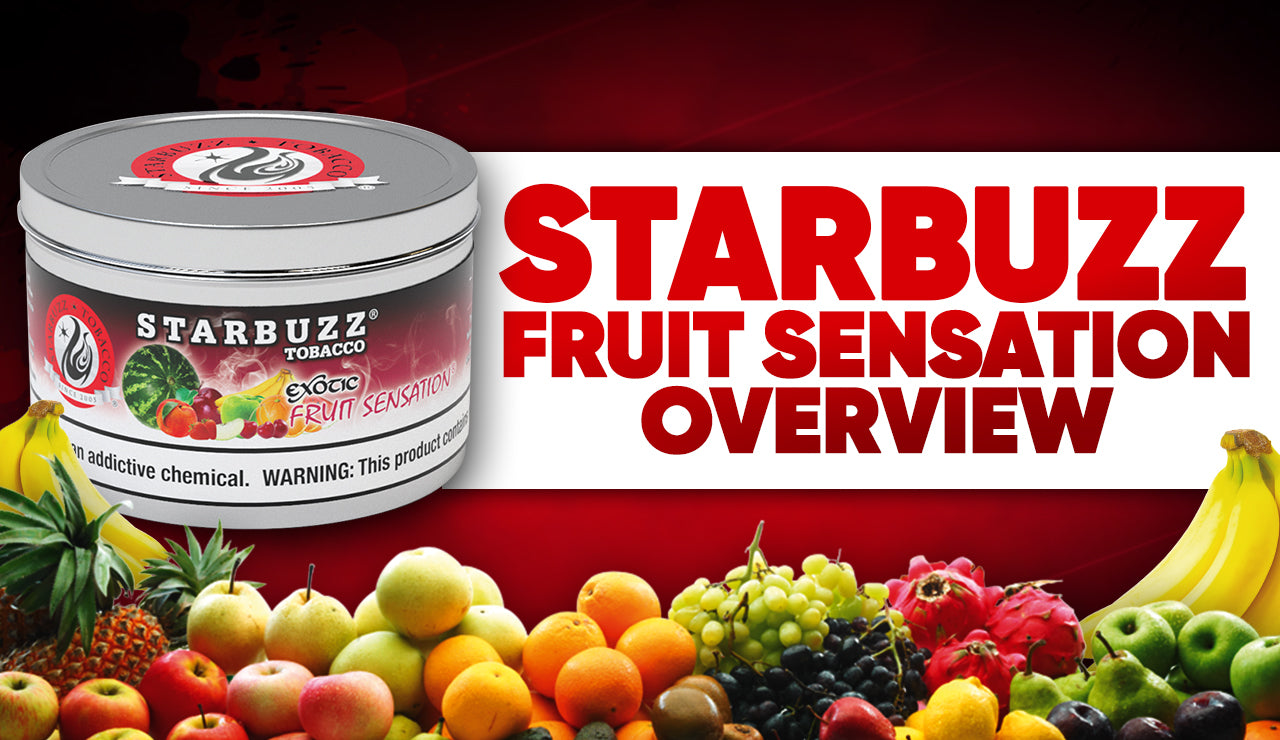 Starbuzz Fruit Sensation: An Exotic Fruity Shisha at Your Service