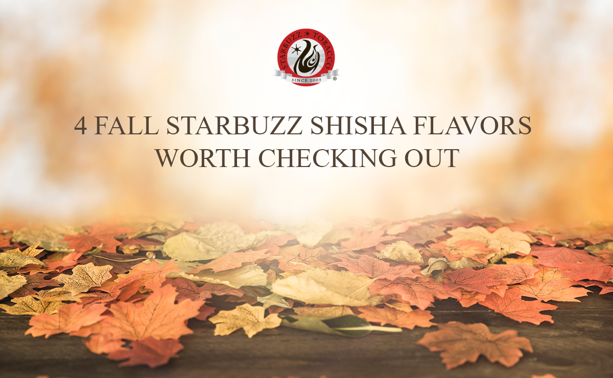 4 Fall Starbuzz Shisha Flavors Worth Checking Out