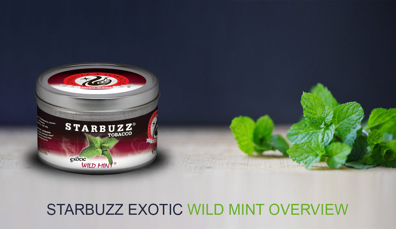 Starbuzz Exotic Wild Mint Overview